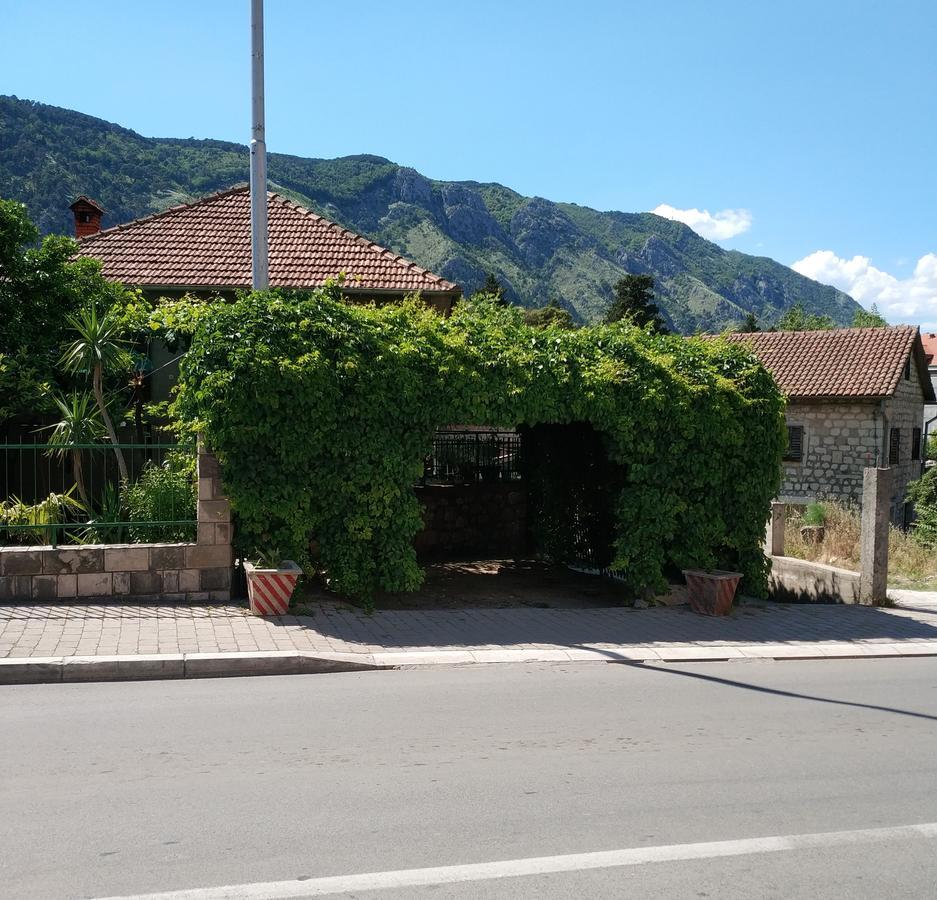 Apartment Monika Kotor